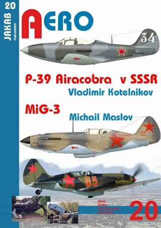 P-39 Airacobra v SSSR / MiG-3 - Vladimir Kotelnikov,Maslov Michail