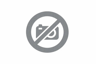 PAC & PUSSY 2 - Albrecht Smuten