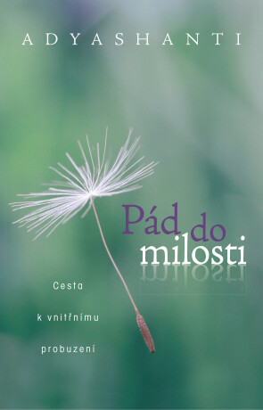 Pád do milosti -  Adyashanti