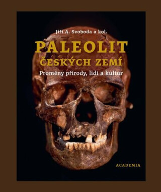 Paleolit českých zemí - Jiří A. Svoboda,kolektiv autorů