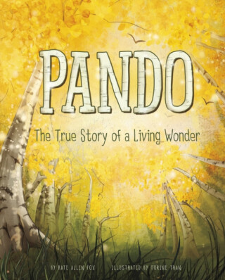 Pando - Author Kate Allen  Fox