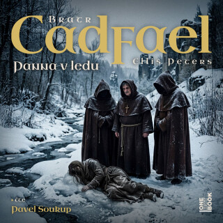 Panna v ledu - Ellis Petersová