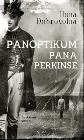 Panoptikum pana Perkinse - Ilona Dobrovolná