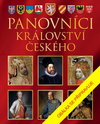 Panovníci Království českého - Pavel Juřík