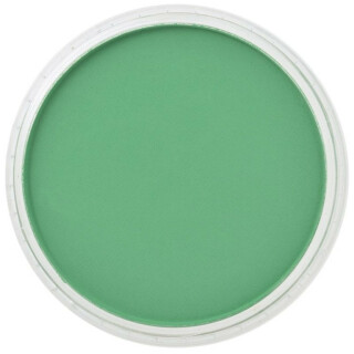 PanPastel 9ml – 640.5 Permanent Green - 