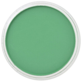 PanPastel 9ml – 640.5 Permanent Green - 