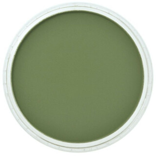 PanPastel 9ml – 660.3 Chromium Oxide Green Shade - 