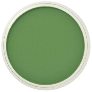 PanPastel 9ml – 660.5 Chromium Oxide Green - 
