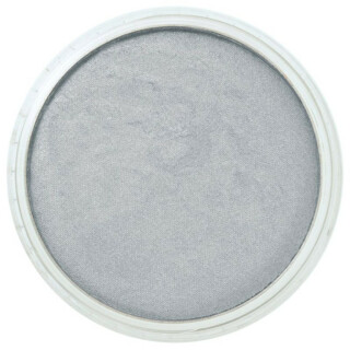 PanPastel 9ml – 921.5 Pewter - 