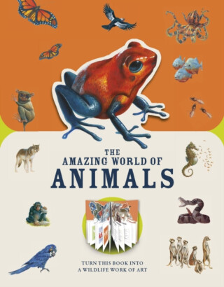 Paperscapes: The Amazing World of Animals - Butterfield Moira