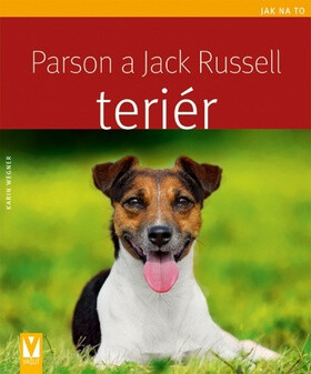 Parson a Jack Russell teriér - Karin Wegner