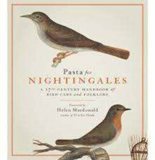 Pasta For Nightingales - 