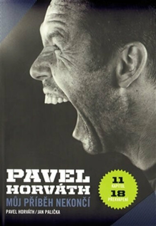 Pavel Horváth - Můj příběh nekončí - Jan Palička,Pavel Horváth