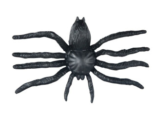 Pavouk plast 6cm 6pcs černý - 