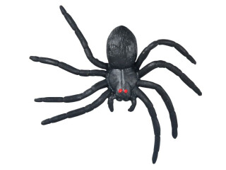 Pavouk plast 7cm 12ks - 