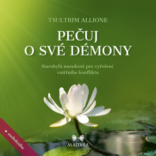 Pečuj o své démony - Allione Tsultrim - audiokniha