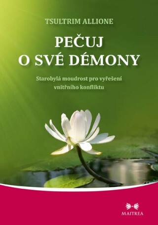 Pečuj o své démony - Tsultrim Allione