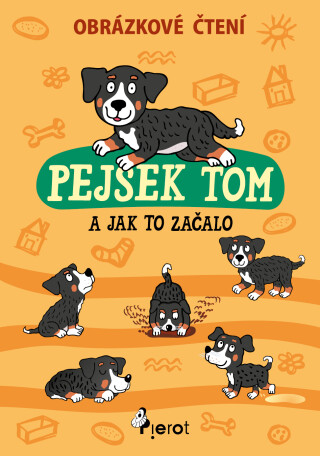 Pejsek Tom a jak to začalo - Petr Šulc