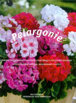Pelargonie - Mia Esserová