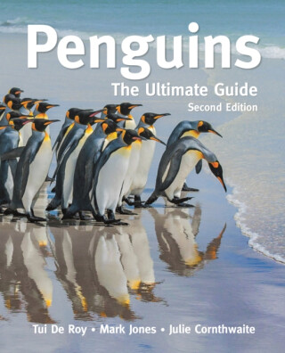 Penguins - Mark Jones,Julie Cornthwaite,Tui De Roy