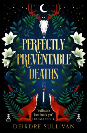 Perfectly Preventable Deaths - Deirdre Sullivan
