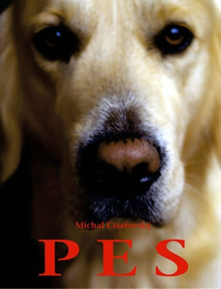 Pes - Michal Císařovský