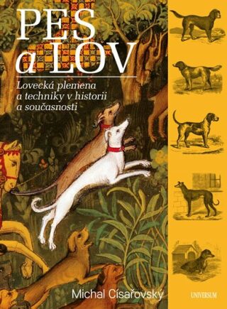 Pes a lov (Defekt) - Michal Císařovský