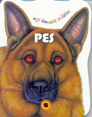 Pes - Moji kamarádi zvířátka - Consuelo Delgado