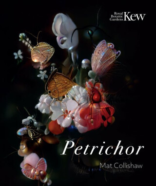 Petrichor - Mat Collishaw