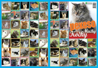 Pexeso - Kočky - neuveden