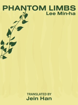 Phantom Limbs - Lee Min-ha