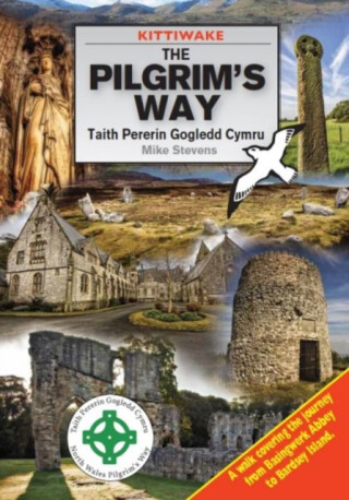 Pilgrim's Way, The - Mike Stevens