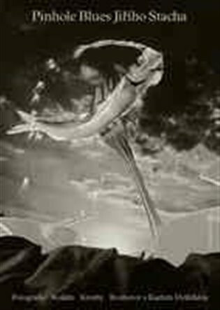 Pinhole Blues Jiřího Stacha - Karel Hvížďala,Jiří Stach