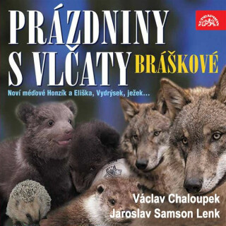 Písničky a příběhy zvířátek z večerníčků Bráškové. Prázdniny s vlčaty - Jaroslav Samson Lenk
