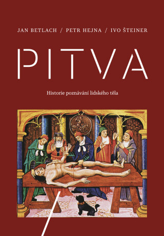 Pitva - Ivo Šteiner,Petr Hejna,Jan Betlach