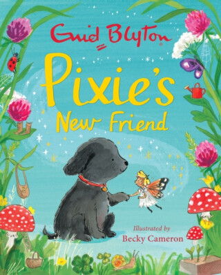 Pixie's New Friend - Enid Blyton