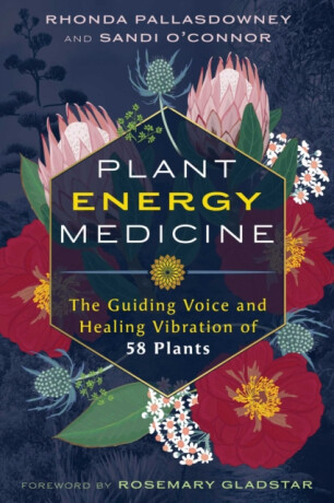 Plant Energy Medicine - Rhonda PallasDowney,Sandi O'Connor