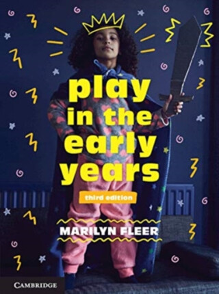 Play in the Early Years - Marilyn  Fleer
