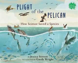 Plight of the Pelican - Jessica Stremer