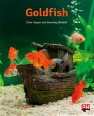 PM ORANGE  GOLDFISH N FIC LEV16 - 