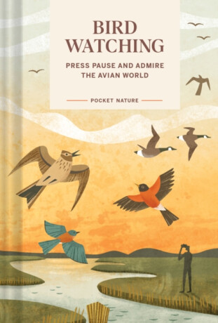 Pocket Nature: Bird-Watching - Andrea Debbink