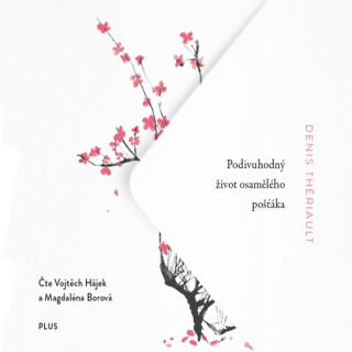 Podivuhodný život osamělého pošťáka - Denis Theriault