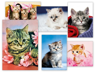 Pohlednice sr Z038 B UV - 