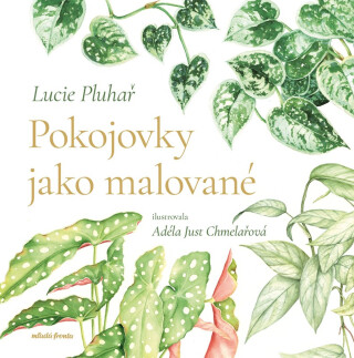 Pokojovky jako malované - Lucie Pluhař