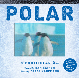 Polar: A Photicular Book - Dan Kainen