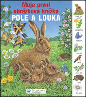 Pole a louka - 
