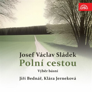 Polní cestou. Výběr básní - Josef Václav Sládek
