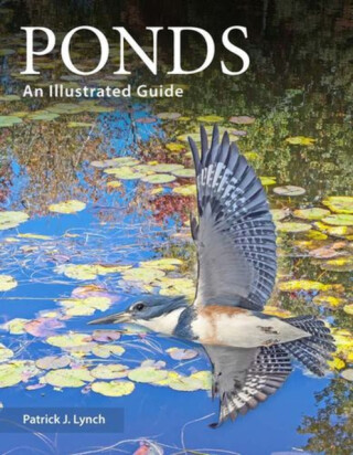 Ponds â€“ An Illustrated Guide - Patrick J. Lynch