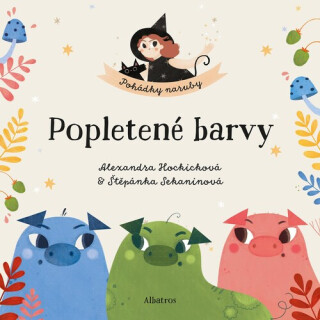 Popletené barvy - Štěpánka Sekaninová,Alexandra Hockicková