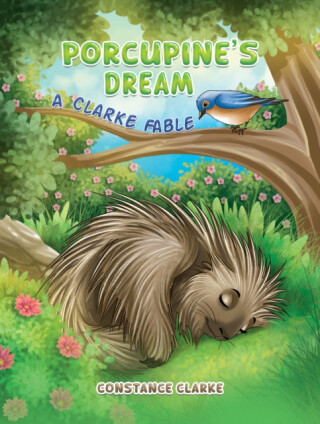 Porcupine's Dream - Constance Clarke